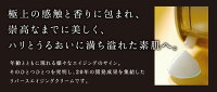 お得なクーポン配布中スタアリィアイジアルティメイトクリームNo.1930g極上の幹細胞クリームハリ潤いリバースエイジング大人気STARRYEYE