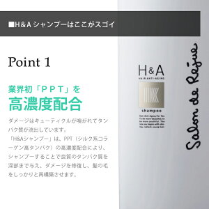 H&Aシャンプー&トリートメントセットPPT(シルク系コラーゲン高タンパク)高濃度配合ヘアケア保湿ディープクレンジング