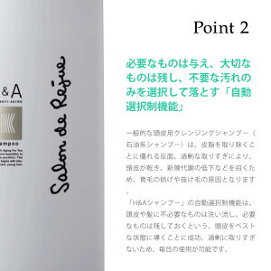 H&Aシャンプー&トリートメントセットPPT(シルク系コラーゲン高タンパク)高濃度配合ヘアケア保湿ディープクレンジング