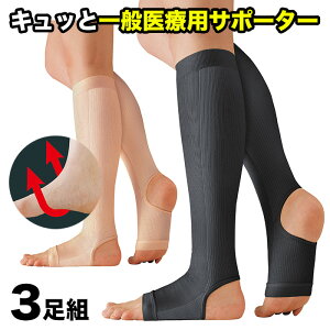 足首 サポーター 医療用の人気商品 通販 価格比較 価格 Com 足首 サポーター 医療用の人気商品 通販 価格比較 価格 Com