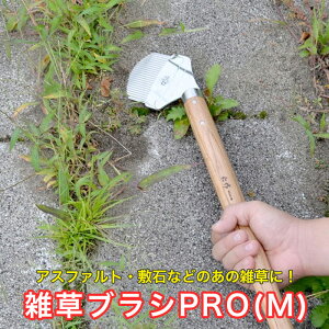 ؕ GuVPROiMj No.2516   G | G | _