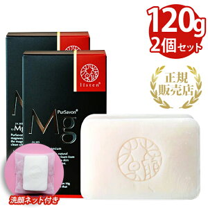 X s[T{Mg Wd120g 2 Ό ΂ Ō`Ό  NWO Y v[g 蕨 Aălbgt