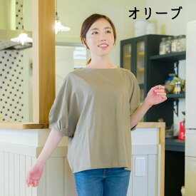 レディース ドルマン ぽわん袖 Tシャツ プルオーバー 女性用 半袖 カットソー キレイな色でゆったり袖の普段着Tシャツ メール便