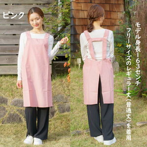 Gv H^ fB[X 킢 i`n̖ۃJ[lCł t[TCY LL 傫TCY ʏ  ȕɊ V[gp fjGv