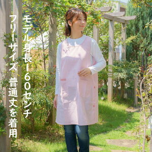 Gv TCh{^ ۈm fB[X  k Gv HX  Gv jtH[ t[TCY LL 傫TCY ʏ  ȕɊ V[g J r