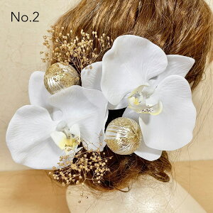 Ӓ  a wbhhX wbhp[c l Ǝ EGfBO OB wAANZT[