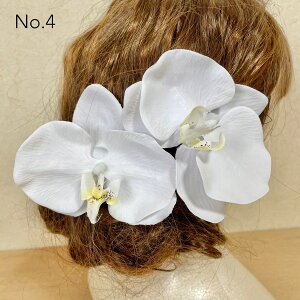 Ӓ  a wbhhX wbhp[c l Ǝ EGfBO OB wAANZT[