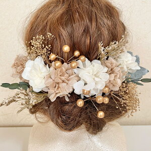  a wbhhX wbhp[c l Ǝ EGfBO OB wAANZT[ wbhhX