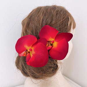 ԌӒ  a wbhhX wbhp[c l Ǝ EGfBO OB wAANZT[