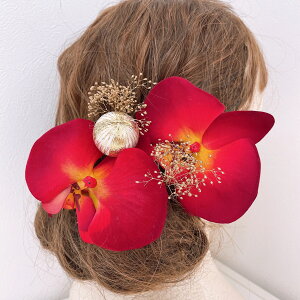 ԌӒ  a wbhhX wbhp[c l Ǝ EGfBO OB wAANZT[