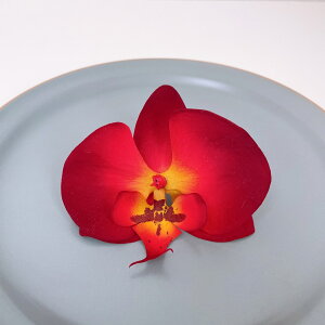 ԌӒ 1  a wbhhX wbhp[c l Ǝ EGfBO OB wAANZT[