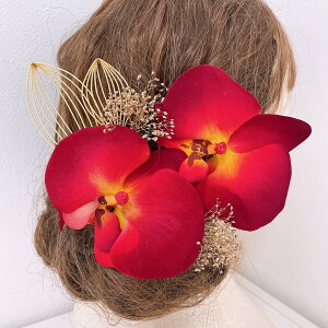 ԌӒ  a wbhhX wbhp[c l Ǝ EGfBO OB wAANZT[