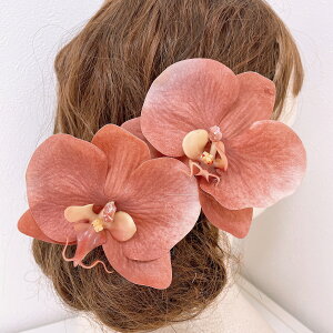 sNӒ  a wbhhX wbhp[c l Ǝ EGfBO OB wAANZT[