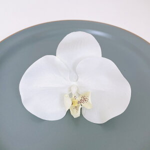 Ӓ 1  a wbhhX wbhp[c l Ǝ EGfBO OB wAANZT[