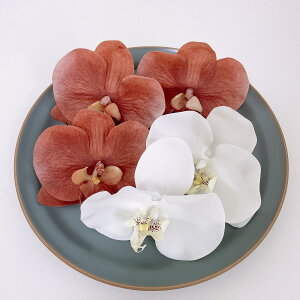 Ӓ  a wbhhX wbhp[c l Ǝ EGfBO OB wAANZT[