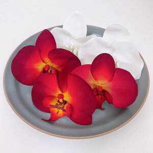 Ӓ  a wbhhX wbhp[c l Ǝ EGfBO OB wAANZT[