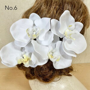 Ӓ  a wbhhX wbhp[c l Ǝ EGfBO OB wAANZT[