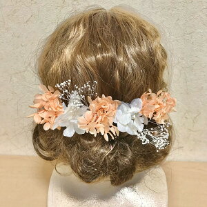  wbhhX wbhp[c l Ǝ EGfBO OB wAANZT[ wbhhX 