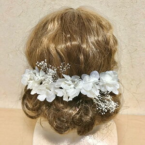  wbhhX wbhp[c l Ǝ EGfBO OB wAANZT[ wbhhX 