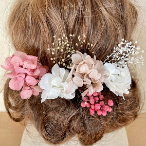  wbhhX wbhp[c l Ǝ EGfBO OB wAANZT[ wbhhX 