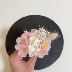   a wbhhX wbhp[c l Ǝ EGfBO OB wAANZT[