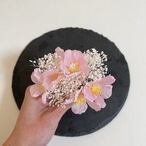   a wbhhX wbhp[c l Ǝ EGfBO OB wAANZT[