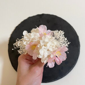   a wbhhX wbhp[c l Ǝ EGfBO OB wAANZT[