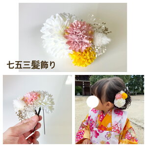 ܎O 753  킢  wAANZT[ q 3 7