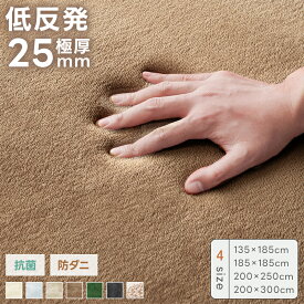 【11/15限定P5倍&500円OFFクーポン! 】ラグ 低反発 極厚25mm フランネル ラグマット カーペット 絨毯 135×185 185×185 200×250 200×300 抗菌 防臭 防ダニ 軽量 防音 春 夏 秋 冬 長方形 滑り止め 床暖房 ホットカーペット対応 フランネルラグ じゅうたん おしゃれ お中元