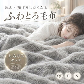 ＼2026秋冬新作・20％OFF!／ 毛布 ふわとろ ふわもこ毛布 洗える 抗菌防臭 ふわふわ とろとろ モコモコ 冷房対策 もこもこ毛布 クォーター ハーフ シングル 厚手 軽量 フランネル もうふ 2枚合わせ ひざ掛け 掛け毛布 ブランケット 可愛い リバーシブル 秋 冬 秋冬用