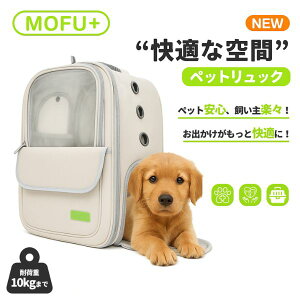 �y500�~OFF�N�[�|�� + ���r���[�v���[���g�z�z �z�y�b�g�����b�N �y�b�g�����b�N�L�����[ �y�b�g�����b�N �d�� �y�b�g�����b�N�T�b�N �y�b�g �����b�N �L�����[ �� �L ���p �h�� �����b�N�^�C