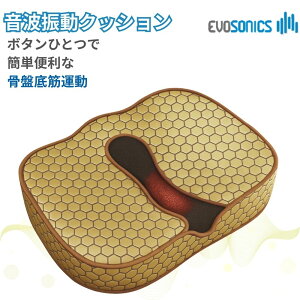 evosonics cushion TEhEF[u SOUND WAVE dr spa hN^[Xpv gU G{\jbNgU}V ؗ _ ؓق AR g[jO  Ւ b ObY NbV