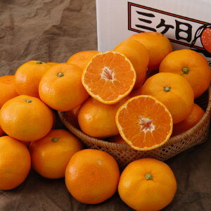 ÉY O݂ O 3kg i y11{̔Jnz ݂ ~J l Ε ΕMtg Mtg 蕨 p t[cMtg t[c[h