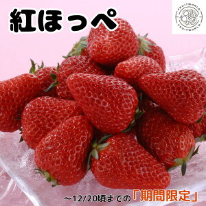 gق  260g × 1pbN ÉY y11{̔Jnz C`S NX}X Ε ΕMtg Mtg 蕨 p t[cMtg t[c[h