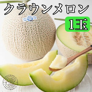 NE 1.3kg 1 Mtg  ʕ  t[c 蕨  j j Ԃ Mtg t[cMtg t[c[h v~A ߂ É 10000~ 10000