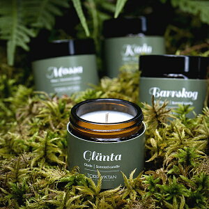 A}Lh 4Zbg k̐X 50g 4 Torplyktan SWEDEN \CLh g[vN^ \CbNX Lh A} 哤 k XEF[f A} R a v[g j