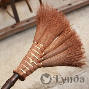 Y L犪5ʏق 50cm 5 SĂ̍H{̘a̎RCsōグ`H|i AM[΍ | GR  Vق Lق    zEL 