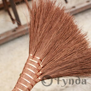 Y ōS5ʏق 50cm S 5 SĂ̍H{̘a̎RCsōグ`H|i ō L V AM[ | GR Vق Lق  z