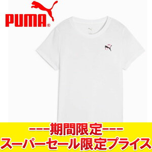 yX[p[Z[ŏIvCXzyԕisz [֑ v[} GRAPHICS CONCEPT TVc 527347-02 fB[X