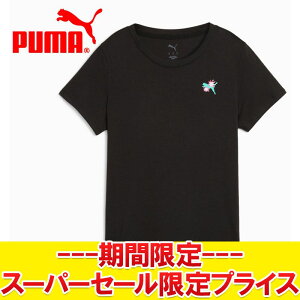 yX[p[Z[ŏIvCXzyԕisz [֑ v[} GRAPHICS CONCEPT TVc 527347-51 fB[X