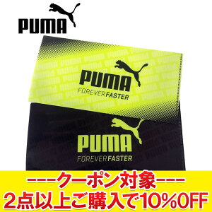 y3ԌX|Cgő20{(2025/10/30 00:00`11/1 23:59)z yZZ[z yԕisz [֑ v[} Rۃ}XNP[X CIz { PM313BK PM313YE yMD3z