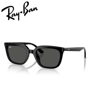 ���C�o�� �T���O���X RB4439D Ray-Ban RB4439D 901/87 54 21 ���{���K�i