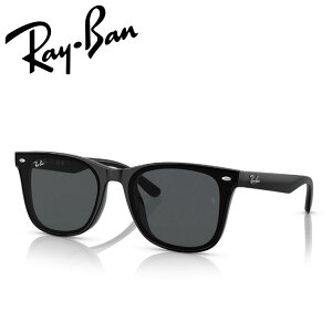 ���C�o�� �T���O���X RB4391D Ray-Ban RB4391D 601/87 65 18 ���{���K�i