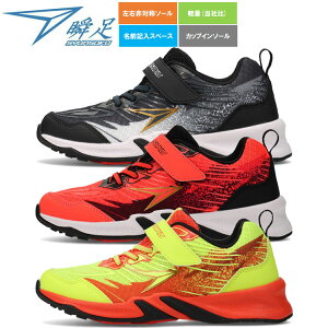 y|CgobNՌX|Cgő20{(12/13 10:00`)zu SYUNSOKU JJ-208 SJJ2080 LbY WjA V[Yyn著z