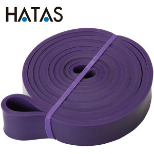 yӍՌX|Cgő20{(2025/11/16 23:59)z n^ HATAS g[jO`[u n[hp[v 20R5200H