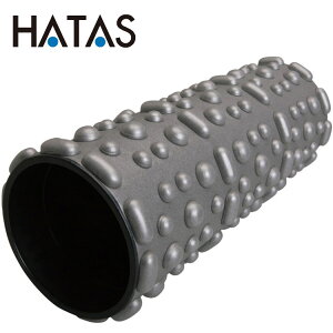 yӍՌX|Cgő20{(2025/11/16 23:59)z n^ HATAS gxtH[[[ ~j FSS300