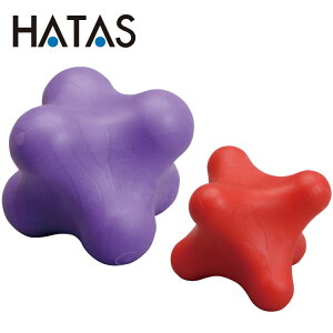 yubNtCf[X|Cgő20{(11/27 1:59z n^ HATAS Zs[|bh召Zbg TCE502