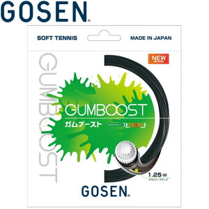 [֑ S[Z \tgejX XgO GUMBOOST Ku[Xg OreBubN SSGB11GB
