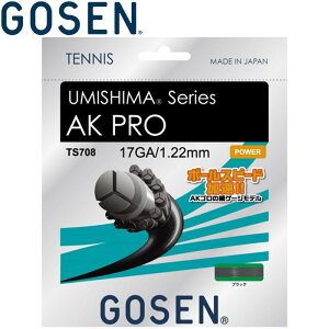 yӍՌX|Cgő20{(2025/11/16 23:59)z [֑ S[Z dejXKbg E~V}AK v 17 ubN TS708BK