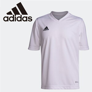 yubNtCf[X|Cgő20{(11/27 1:59z XyVvCX [֑ AfB_X KIDS ENTRADA22 W[W[ MBE20-HC5054 WjA